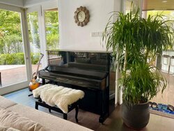 Hillview Estate (D23), Detached #459343401